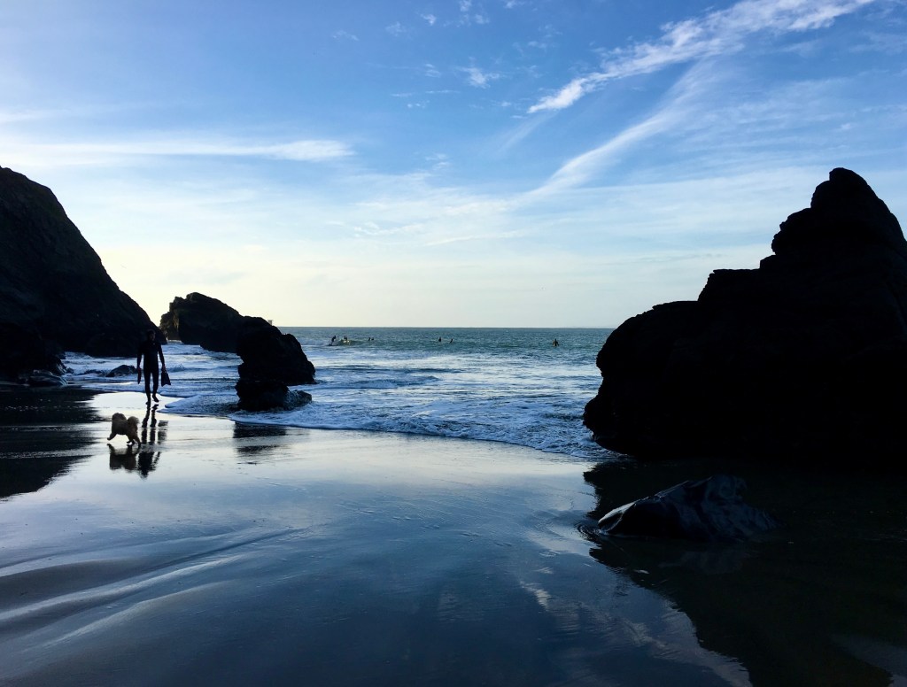 Baker's Beach, Pacific Ocean, diver, Joya, dog, blues