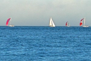 CIMG5471.JPG - Version 2