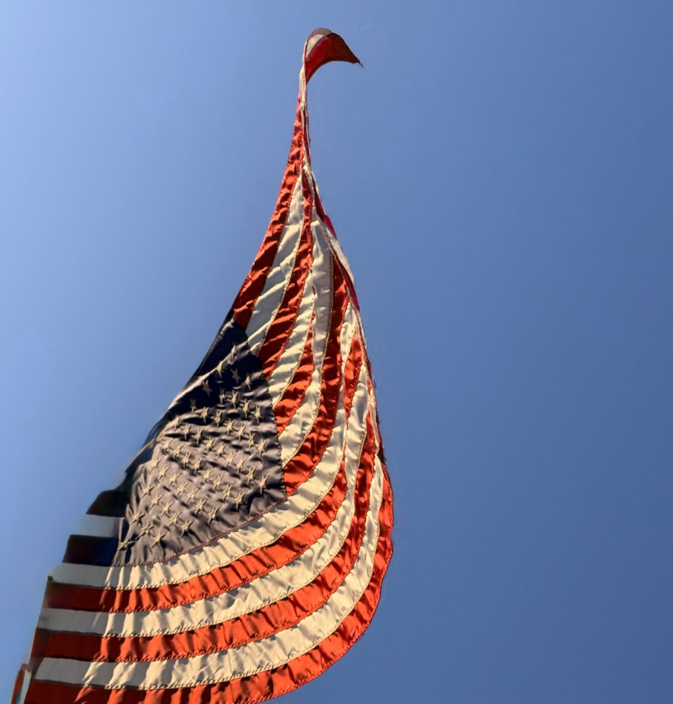 United States flag; birdlike in the wind; Alice Walker